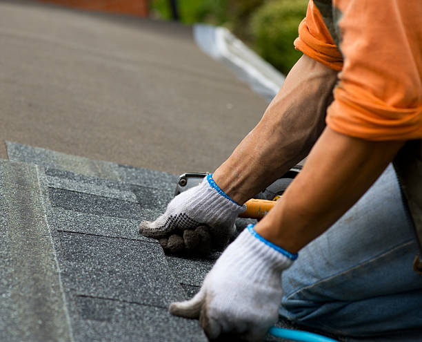 Quick and Trustworthy Emergency Roof Repair Services in Chenoa, IL