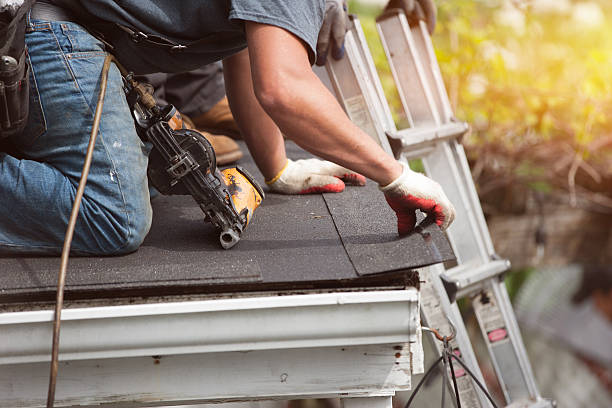 Best Roof Maintenance Services  in Chenoa, IL