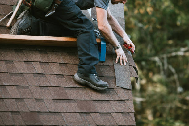 Best Flat Roof Repair Services  in Chenoa, IL